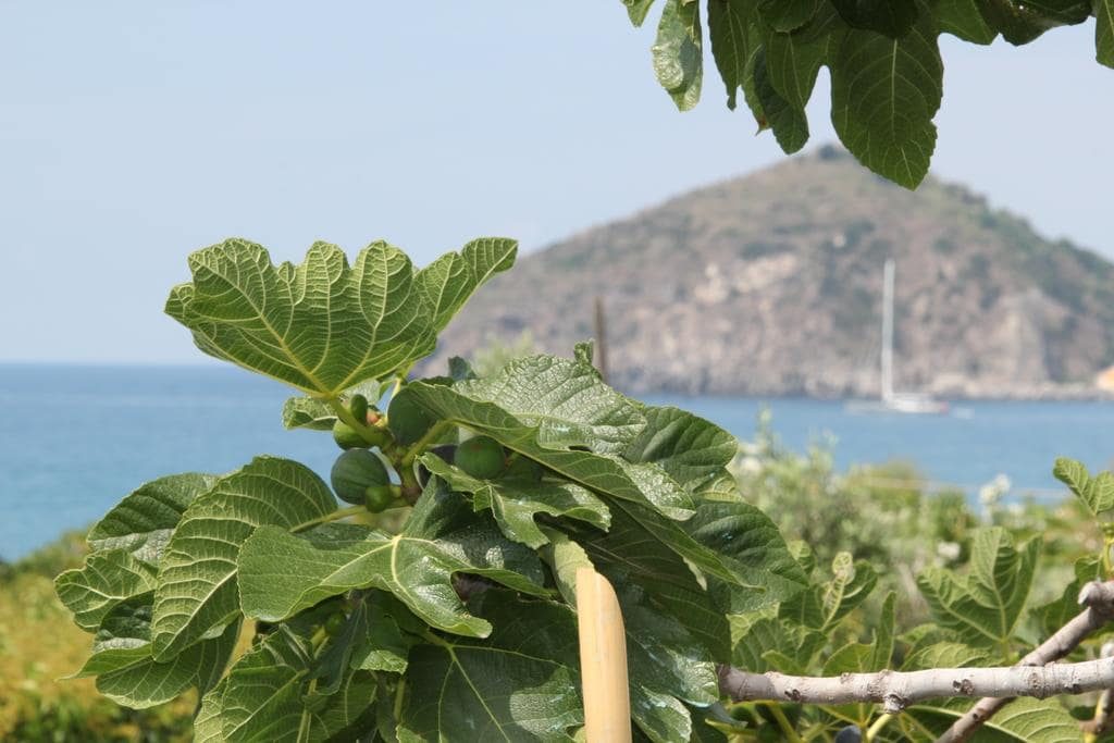 Hotel Maronti Ischia