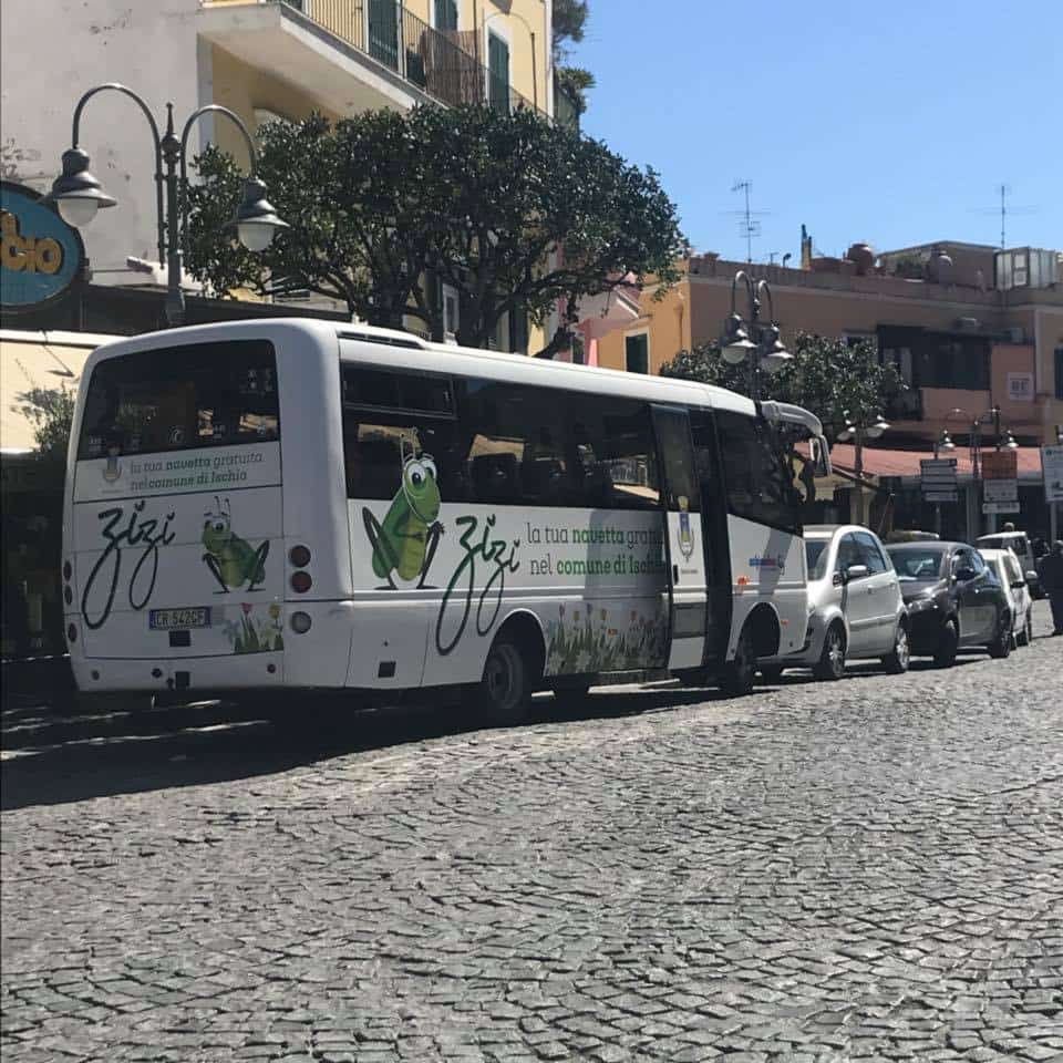 Zizi, la Navetta gratuita Ischia