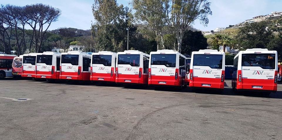 Autobus Ischia
