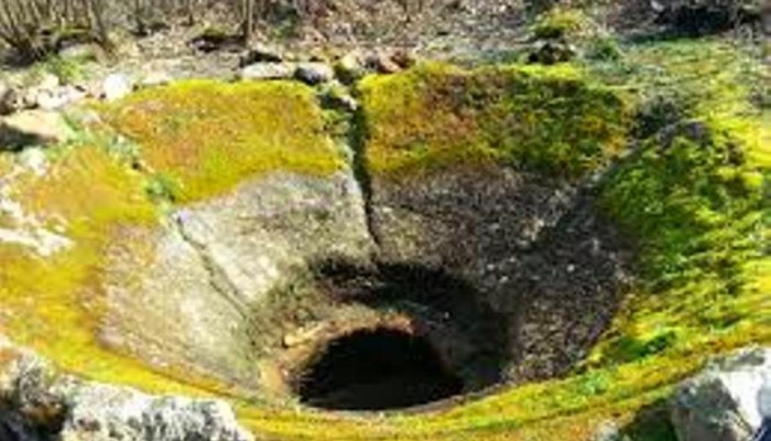 Bosco della Maddalena foto