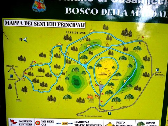 Bosco della Maddalena foto