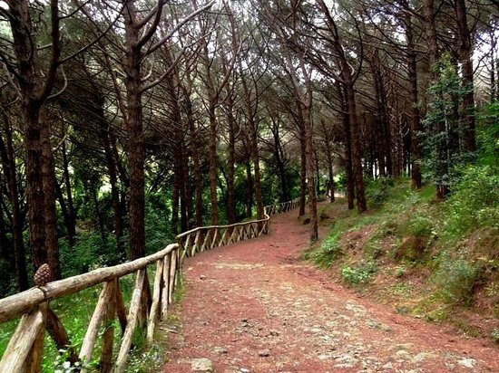 Bosco della Maddalena foto