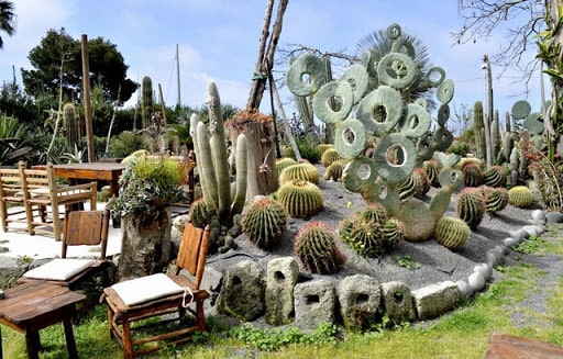 Giardini Ravino Ischia foto