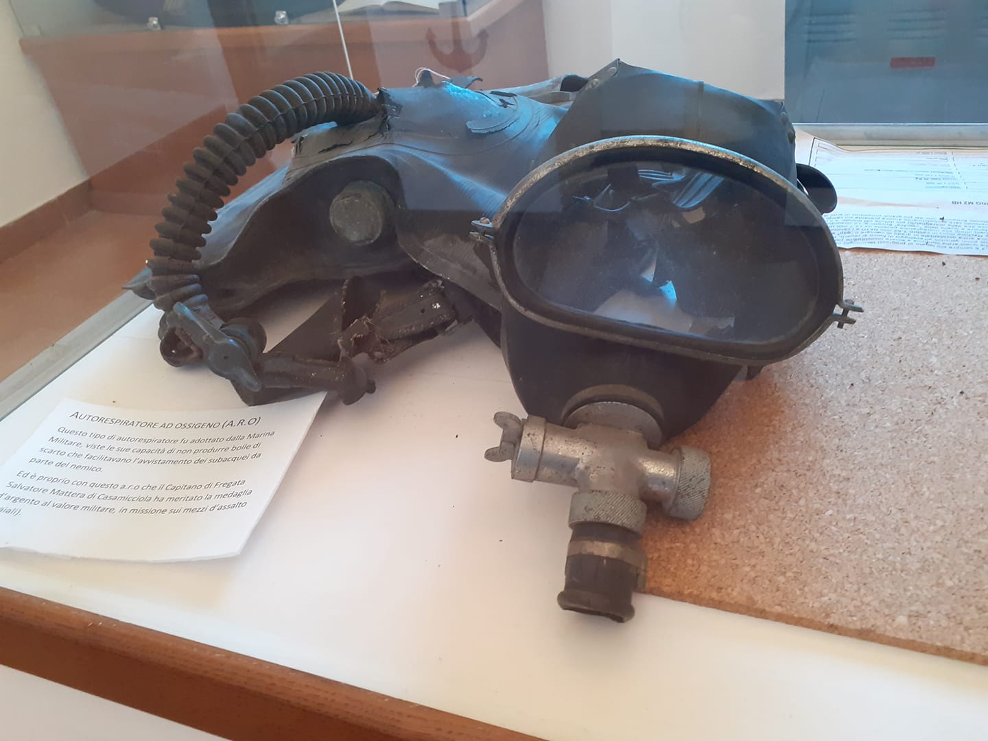 Museo del Mare Ischia foto