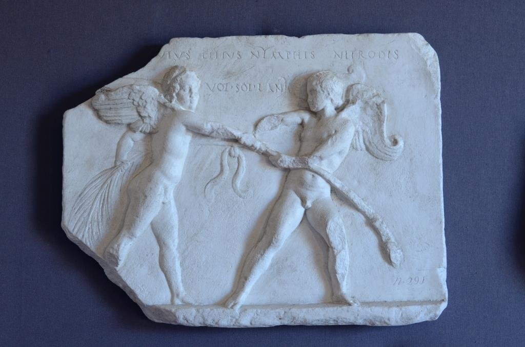 Museo Pithecusae foto