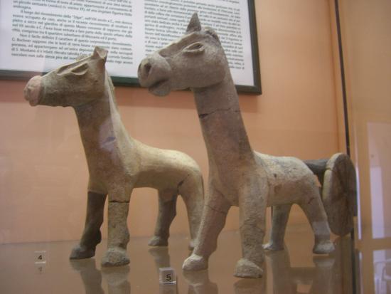 Museo Pithecusae foto