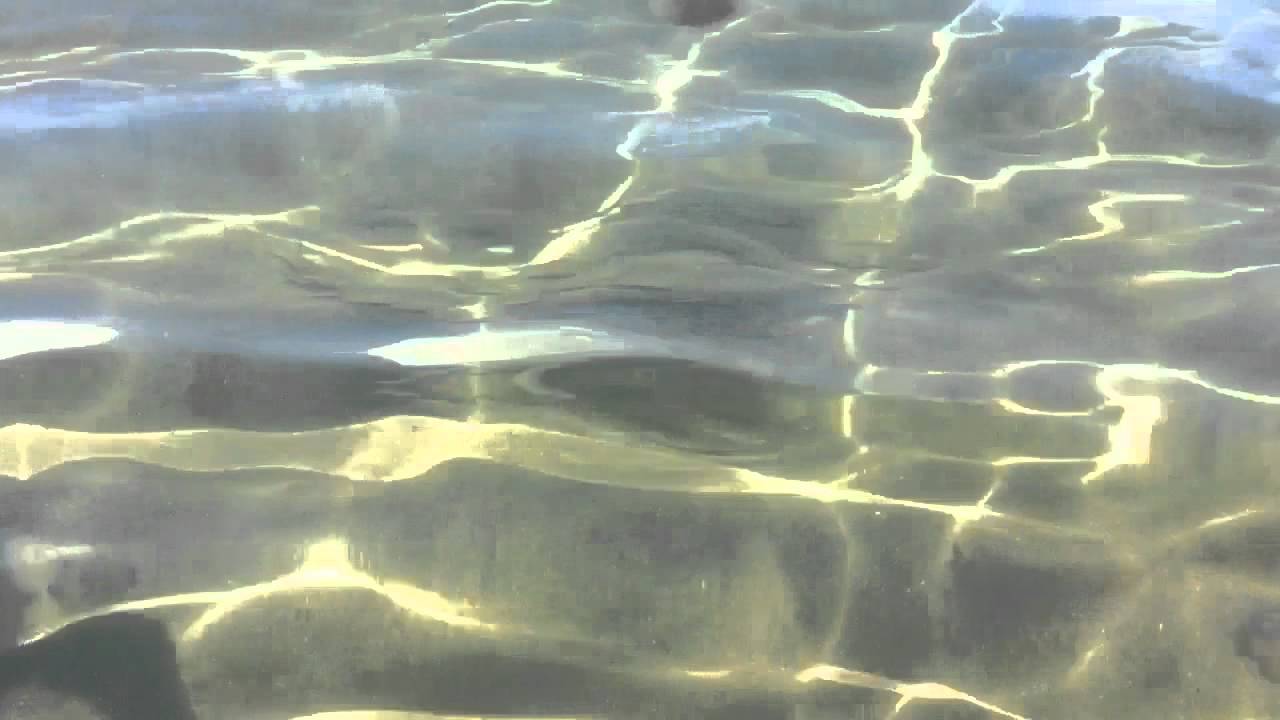 Spiaggia della Chiaia foto